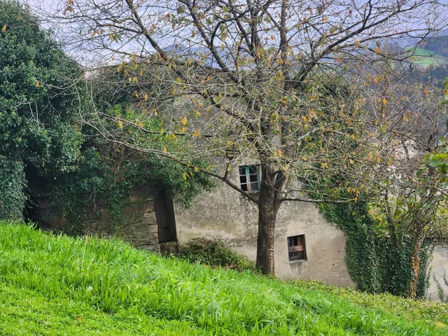 PRECIOSA CASA CON CAPILLA Y TERRENOS EN VILLAYON (ASTURIAS) — 12