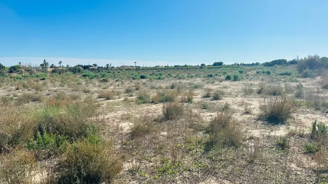 Terreno de 12.000 m2 en Perleta. — 7