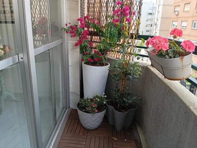 INIGUALABLE PISO EN VENTA EN EL ZAPILLO 150 M DEL MAR — 11