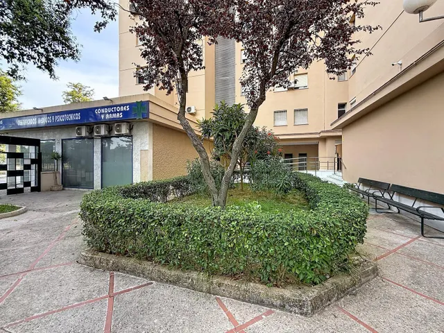 Piso Zona Princi Jerez — 14
