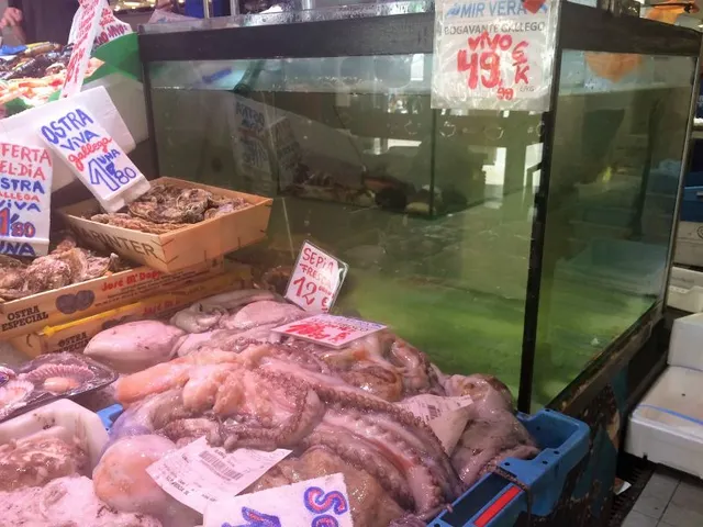 Se TRASPASA Puesto de Venta DENTRO el MERCAT DEL OLIVAR — 9