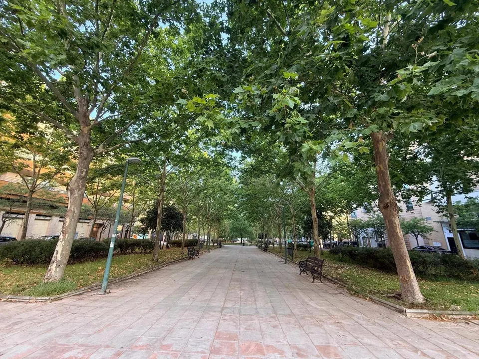 Piso alquiler condes de barcelona