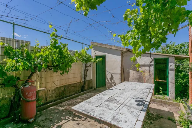 "¡Vive la vida en el campo! Terreno con casa de aperos y cultivos de olivos y frutales en ve — 11