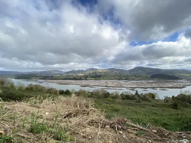 EXCLUSIVA PROPIEDAD CON VISTAS A LA RIA Y 70 HECTAREAS DE TE - foto 4