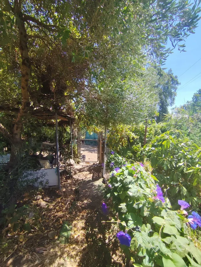 Parcela urbanizable de 1.200 m2 en Pelayo, Algeciras - foto 3