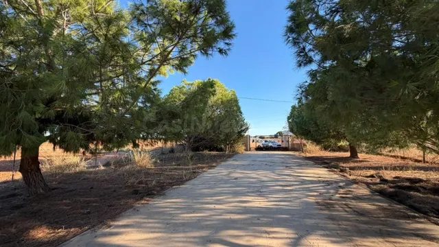 SE VENDE CASA DE CAMPO EN EL PALMERO - foto 5