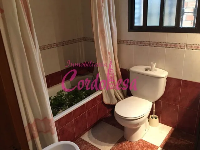 MAGNIFICA CASA EN ALCOLEA. — 27