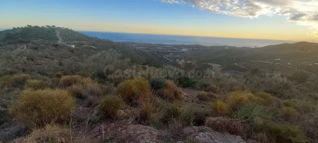 GRAN FINCA RÚSTICA EN BENAJARAFE - foto 3