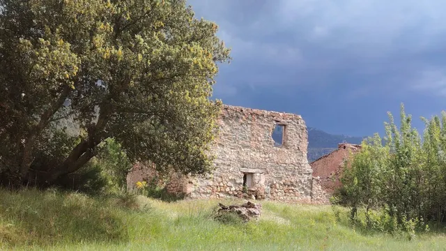 Terreno rural en venta - Castilla la mancha - foto 4