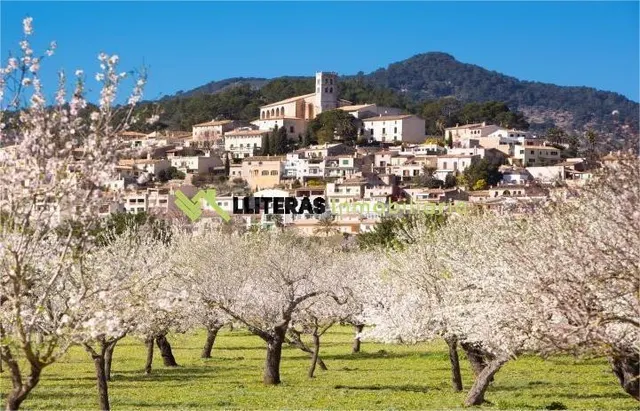 Casa de pueblo con carácter mallorquín y gran potencial en S - foto 2