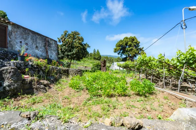 Finca con vivienda y viñedos en Icod de los Vinos — 16