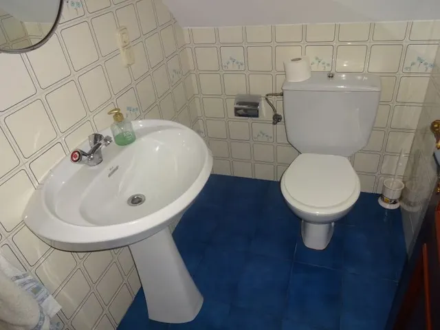 SE VENDE CASA SEÑORIAL PAREADA DE PIEDRA REFORMADA Y EN PERFECTO ESTADO EN PADRON — 29