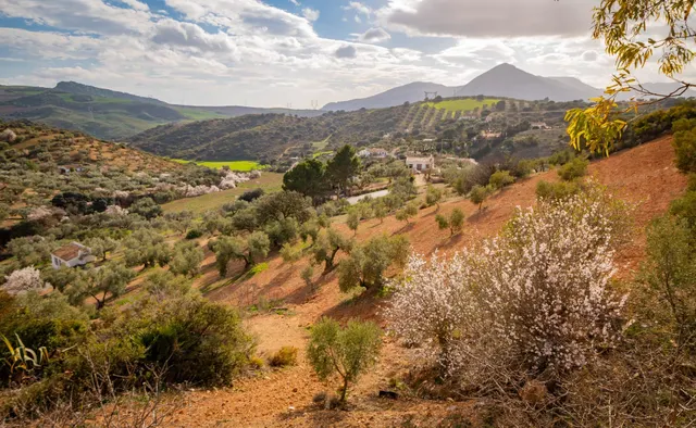 VENTA DE FINCA RUSTICA EN LA ZONA DE LA SIERRA DEL TORCAL — 18