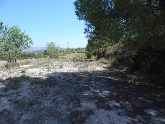 TERRENO EN PRODUCCIÓN CON PEQUEÑA CONSTRUCCIÓN EN PALOMAR(VALENCIA) — 7