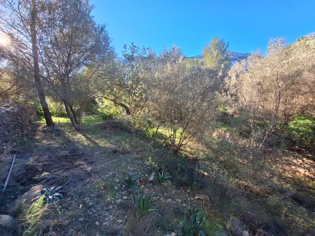 Terreno en venta cerca del Montgó — 24