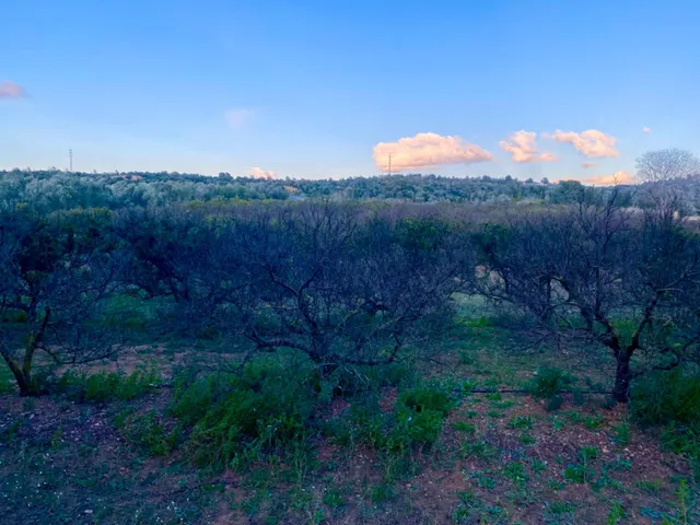 Encantador terreno con agua y luz de 1,2 ha — 8