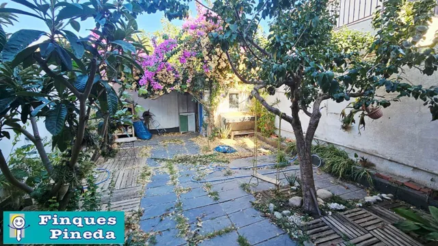 CASA PLANTA BAJA CON 2 VECINOS CON JARDÍN — 19