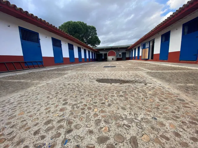FINCA RÚSTICA JUNTO A LA PUEBLA DEL RÍO. VP028 - foto 5