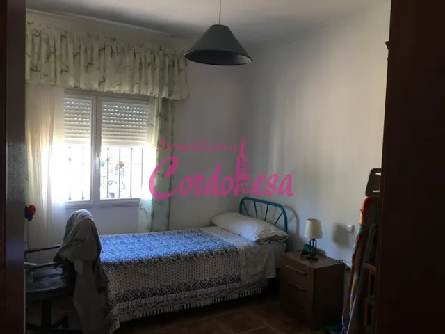 MAGNIFICO CASA CON TERRRENO EN ALCOLEA!! — 14