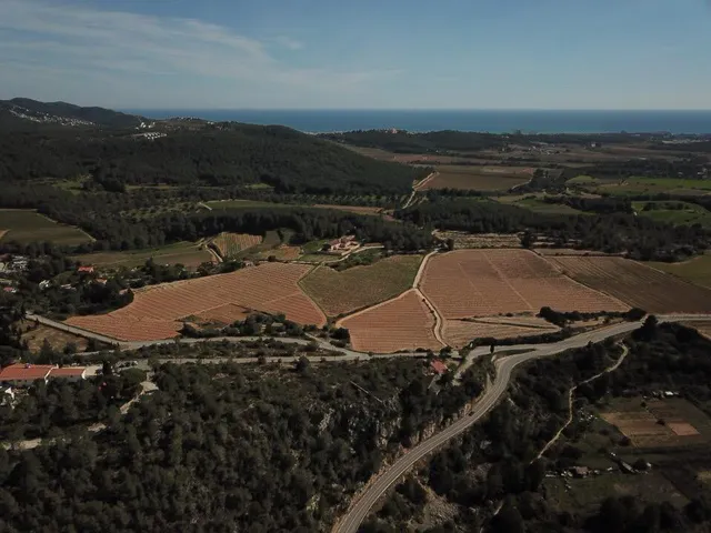 Finca de aprox 67 hectàreas. Con dos casas principales para reformar — 23