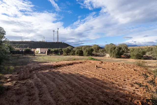Cortijo zona El 21 — 42