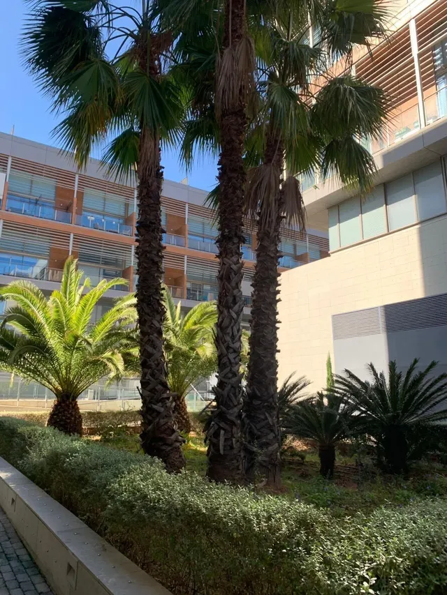 En venta Loft con terraza y piscina en Valencia — 17