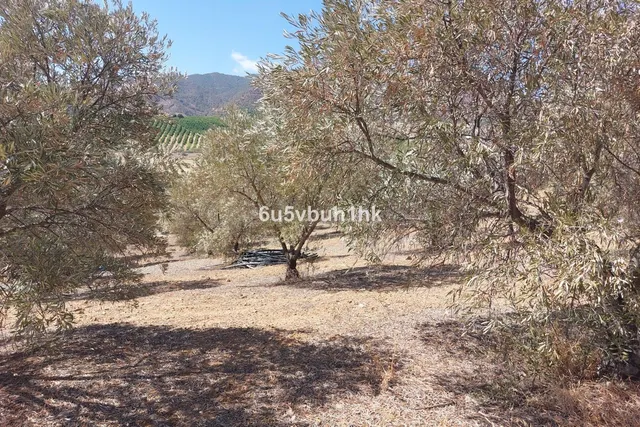 Parcela en venta - Alora pueblo — 5