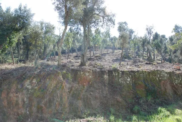 Parcela situada en Vall Repòs Santa Cristina d'Aro - foto 2