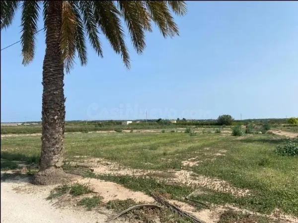Terreno en zona La Marina - El Molar - foto 5