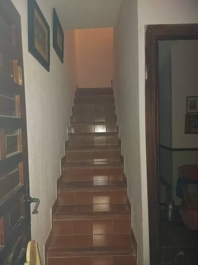 EXCLUSICA CASA EN ALDEA DEL CANO CON 8000 METROS DE PARCELA — 25