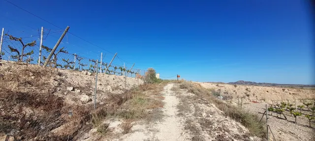 PARCELA 30.000 METROS DE TERRENO — 29