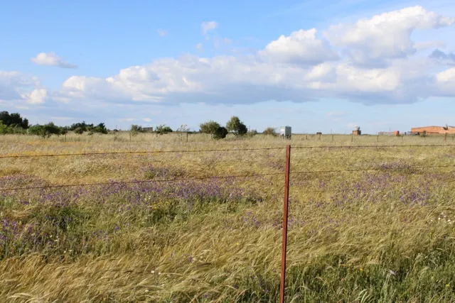 Parcela de 25.000 m2 en Sierra de Fuentes - foto 2