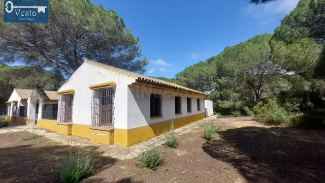 GRAN FINCA EN PUERTO REAL - foto 5