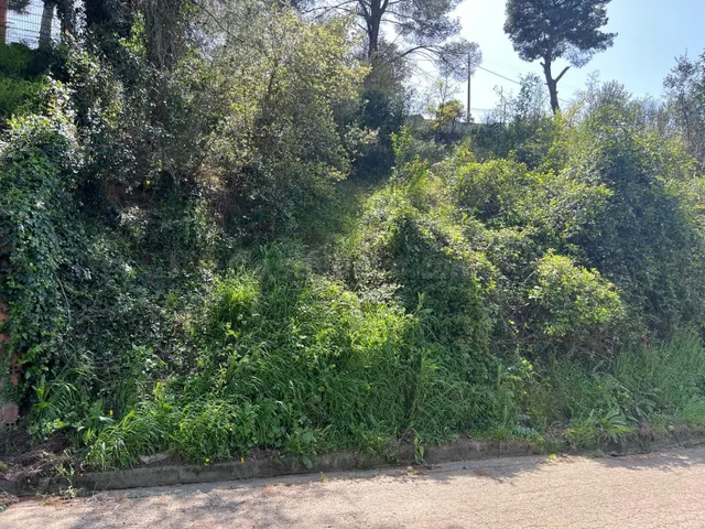PARCELA EN VENTA EN CAN CLARAMUNT - foto 3