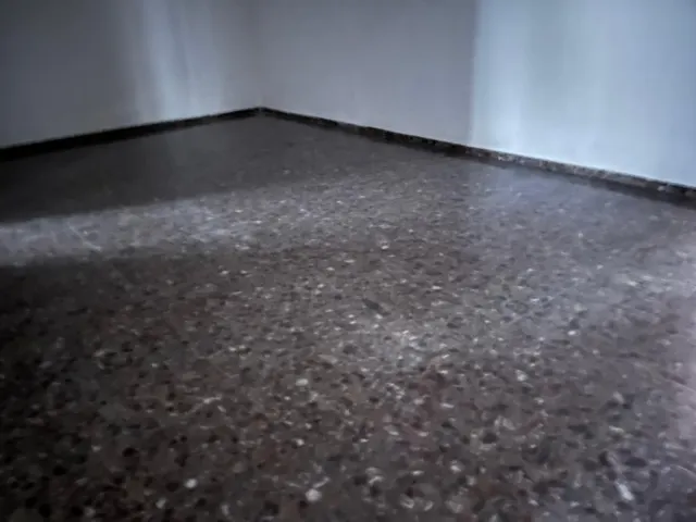 LOCAL COMERCIAL EN EL CENTRO — 8