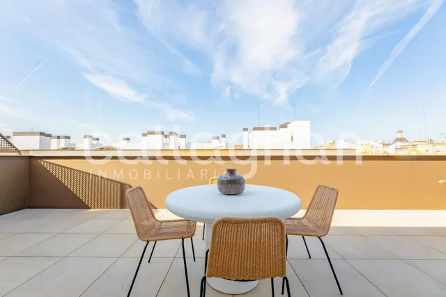 Obra nueva a estrenar, completamente amueblada y equipada, con una espectacular terraza privada de 100 m2 en pleno centro de Valencia. — 50