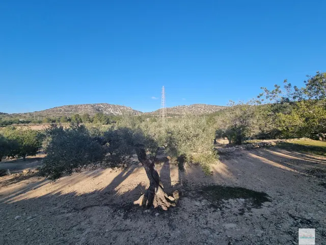 "¡Aprovecha esta Oportunidad Única en El Perello!" — 6