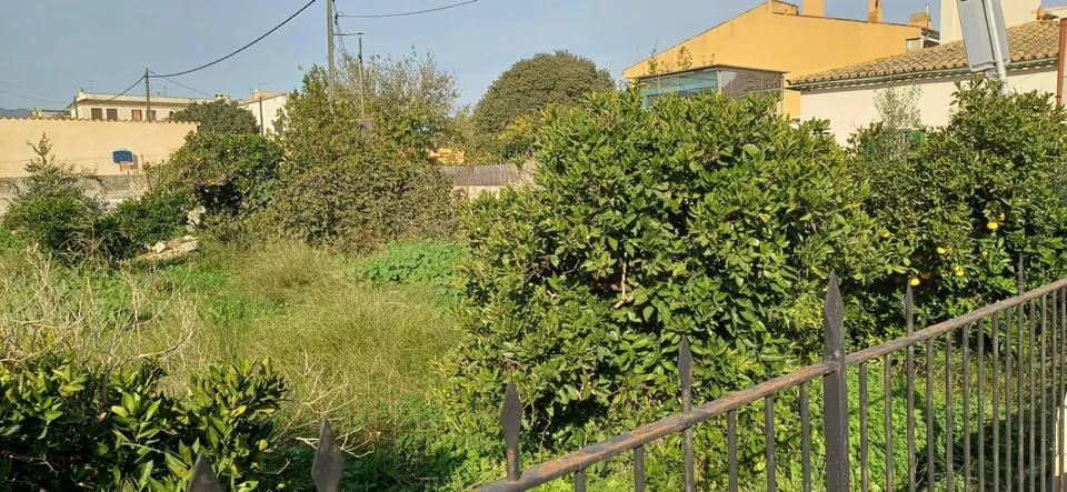 SOLAR URBANO DE 500 M2 EN SON PUIG.
