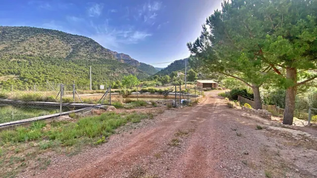 FINCA DE 6 Hectáreas con CASA CORTIJO para reformar — 14