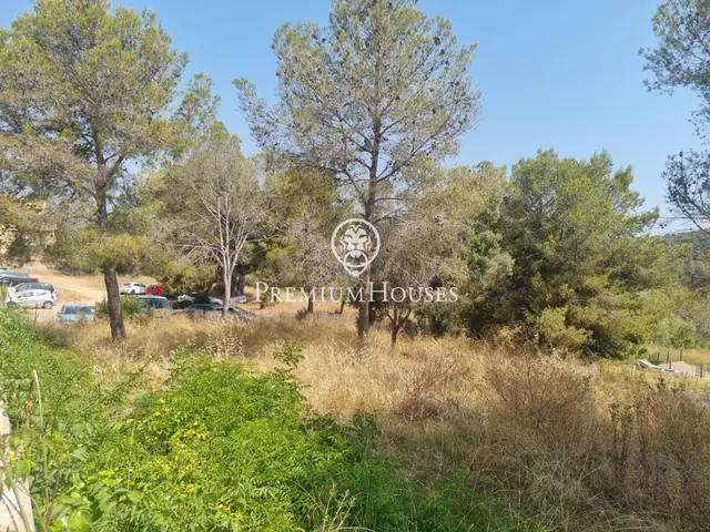 Terreno rústico en Vallpineda - foto 4