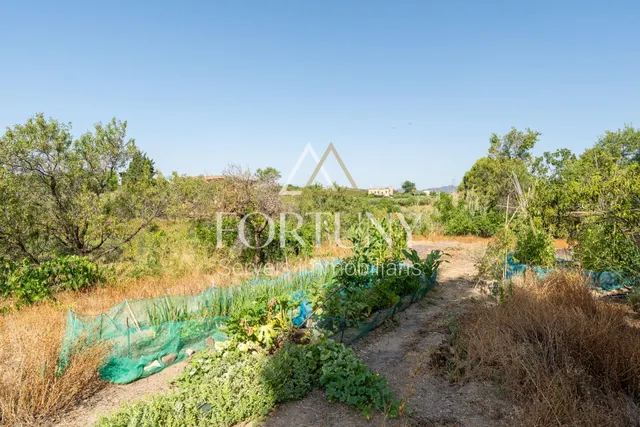 Casa en venta en Partida Freixe, Riudoms. — 37