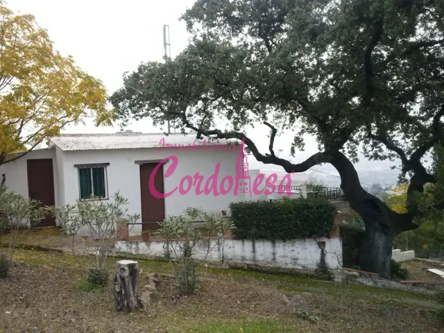 MAGNÍFICO TERRENO URBANO EN ALCOLEA — 6
