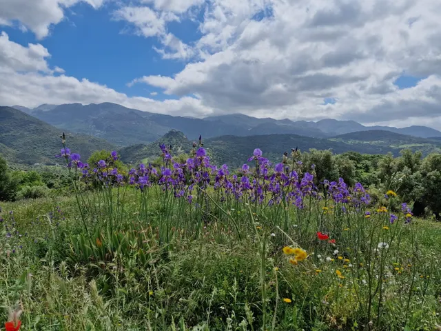 VENTA PARCELA TAVIZNA. SIERRA DE CÁDIZ