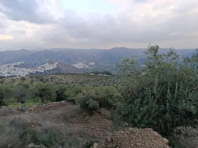 Parcela en venta - Alora pueblo — 22
