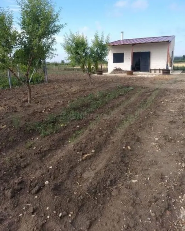 Terreno rural en venta - Castilla y leon - foto 2