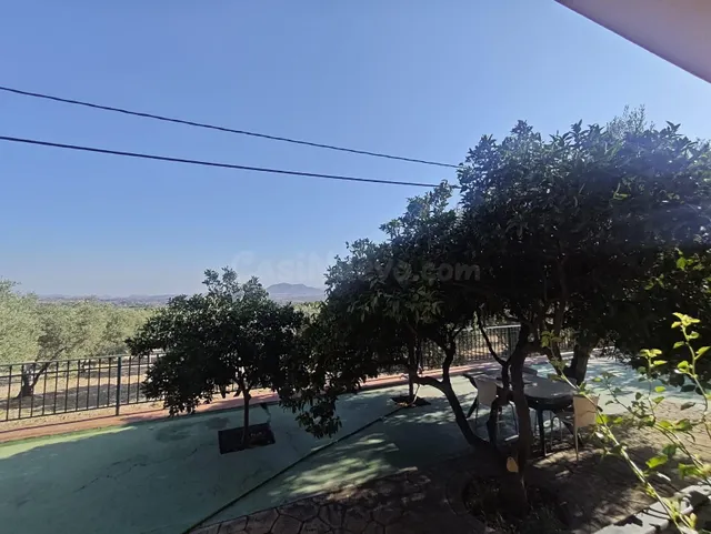 Campo en Sax 14.000 m2 parcela y casa con piscina — 29