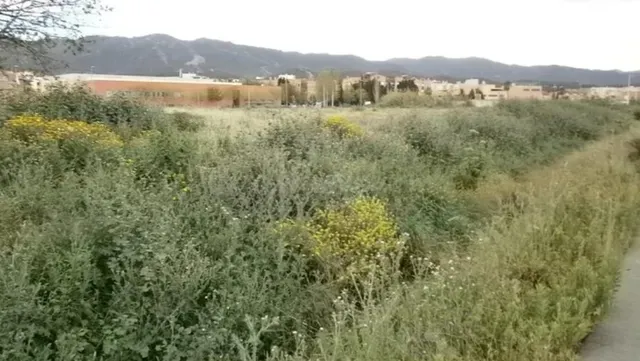 Terreno urbanizable en venta en camino de Salabosque, La Alb - foto 2