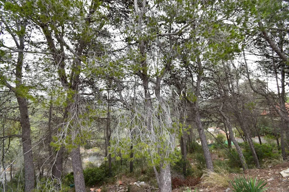 PARCELA EN CAN PERE LA PLANA