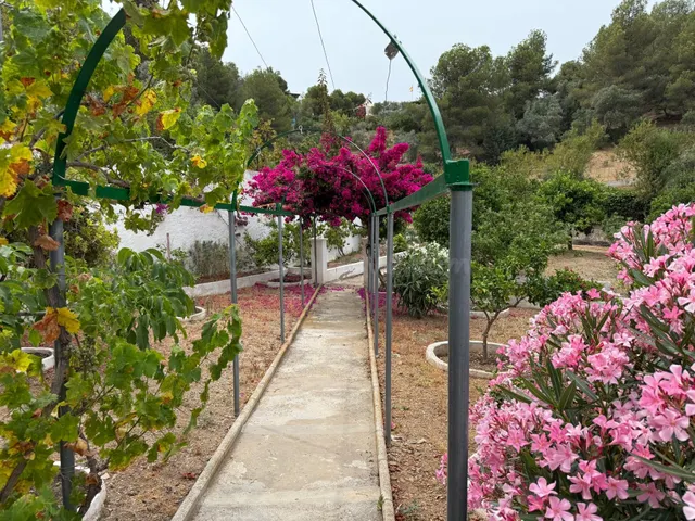 Chalet en los Montes de Málaga - foto 4