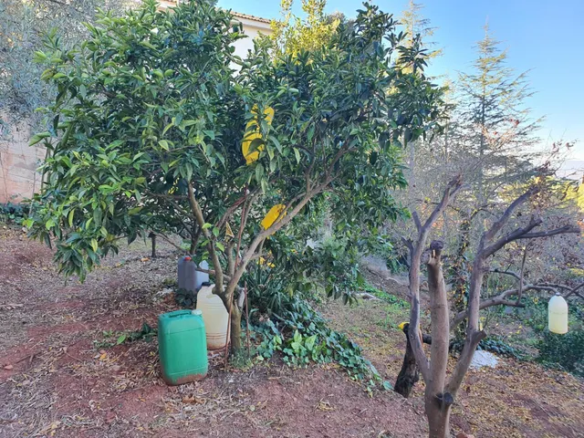 TERRENO URBANO EN VENTA EN URB CAN TAIO DE 1.048 M2 — 18